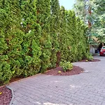 Daire Przy Parku Zdrojowym - Darmowy Parking *