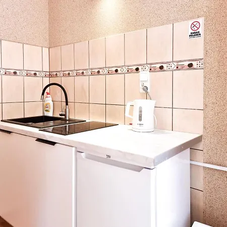 Przy Parku Zdrojowym - Darmowy Parking Apartament
